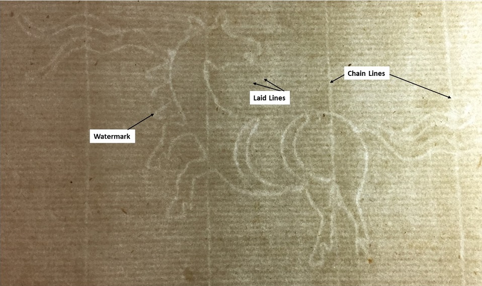 Picture of paper with laid and chain lines labeled